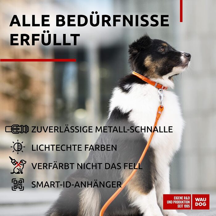 Стильний шкіряний нашийник для собак WAUDOG: для малих, середніх та великих порід, 20-25 см, ширина 8 мм, оранжевий