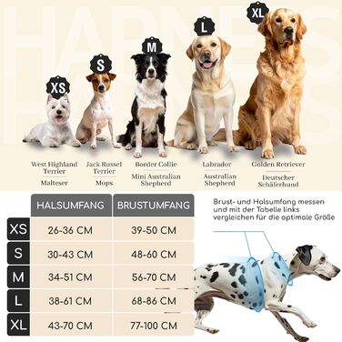 Шлейка для собак Freudentier з ручкою, дихаюча, з м'якою підкладкою - надійна фіксація та максимальна безпека, протисмикова, для собак маленьких, середніх та великих порід - шлейка для великих собак (XL)