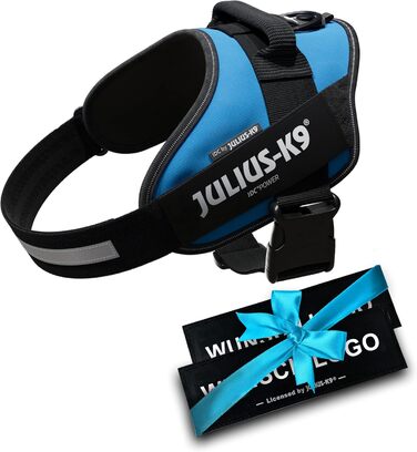 Шлейка Julius K-9 IDC Powergeschirre з індивідуальним нанесенням, для собак маленьких, середніх та великих порід, 16IDC+CUSTOMP-B (Аквамарин)
