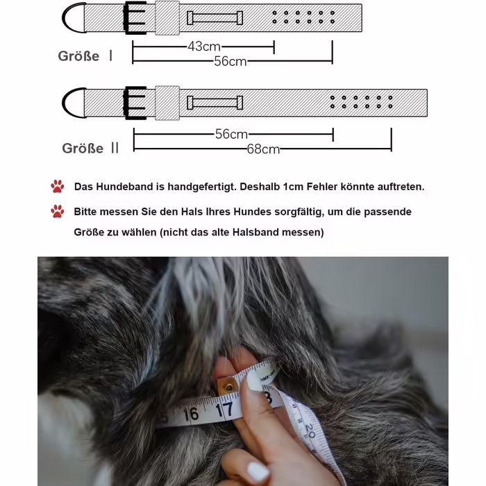 Dog Collar for Large Dogs - 5 cm Wide Collar with Handle for Extra Large Dog Breeds, Soft Padded Neoprene Nylon Dog Collar for Large Dogs Big Dog Collar (56-66cm, Red)