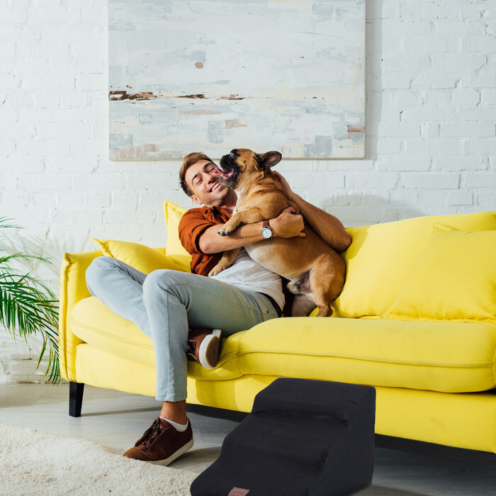 Relaxdays Dog Stairs with 3 Steps