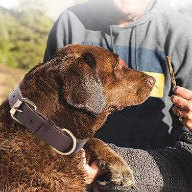 Нашийник для собак з м'якої натуральної шкіри - для малих, середніх та великих собак