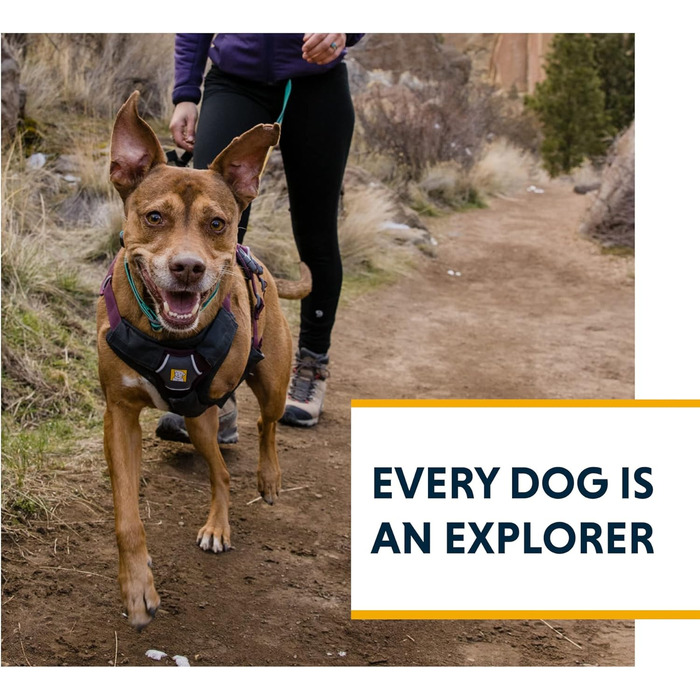 Шлейка для собак Ruffwear Web Master, помаранчевий, середній, з ручкою, надійна, для прогулянок та походів