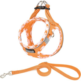 колір: помаранчевий