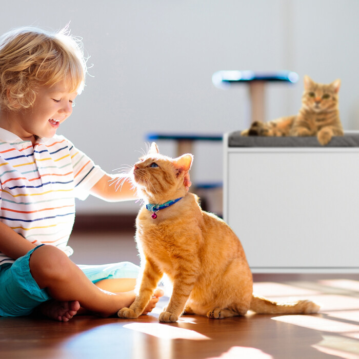 Relaxdays Cat Cabinet with Seat Cushion