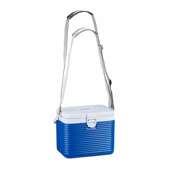 Relaxdays Small Cooler Box, 8 Liters