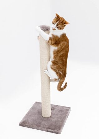 Petrebels Premium Quality Scratching Post Maine, 90 cm High, with Extra Stable Base Plate and Natural Sisal Post, 40 x 40 x 90 cm, Color / Beige (Cappuccino)