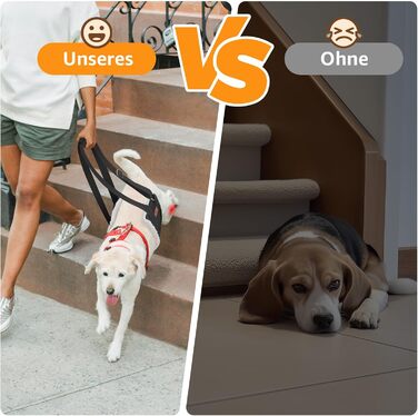 Регульована переноска для собак, підтримуюча перетяжка для реабілітації, поранених, травмованих або літніх собак - шлейка для собак як допоміжний засіб для ходьби для малих та великих собак (Білий, M)