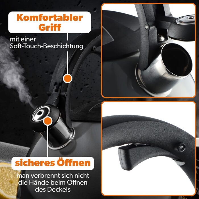 Чайник KADAX з нержавіючої сталі, 3л, з свистком, ретро дизайн, різні кольори, ефект Ombre, (Блакитний/Сірий)