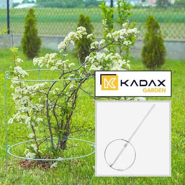 Набір KADAX з 3 опор для рослин зі сталі з порошковим покриттям, підпірки для квітів і рослин, опора для витких рослин, для саду та балкона, висота 60,5 см