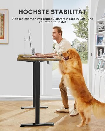 ErGear Electric Standing Desk 100x60cm - Vintage Wood Finish, Memory Height Adjustment for Home Office & Desk Connector Plate