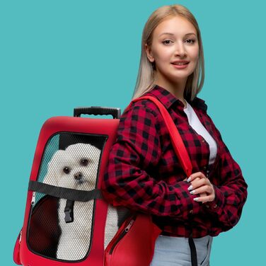 Тролей для собак та котів All Pets United - переносна сумка-транспортування для домашніх тварин (Чорний, Червоний)