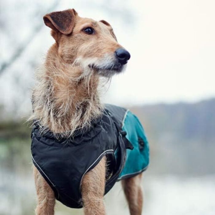 Hunter UPPSALA ALLROUNDER Dog Coat, 2-in-1, Detachable Fleece Lining, Water-Repellent, Size 55, Anthracite/Petrol 55 Anthracite/Petrol