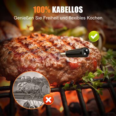 INSMART Wireless Meat Thermometer, Bluetooth Grill Thermometer 100m, IPX7 Waterproof Roasting Thermometer with Smart APP, Cooking Meat Thermometer for Oven, Grill, Smoker, Rotisserie, Air Fryer