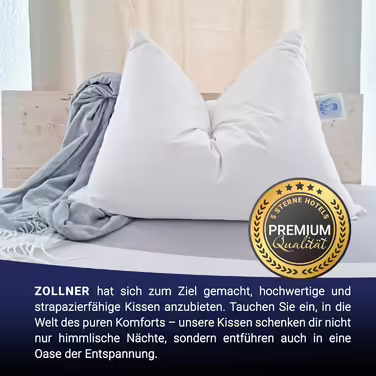 ZOLLNER Набір з 2 пухових подушок 80x80 см, 100% пух, для алергіків, чохол з мако-бавовни, готельна якість, Німеччина