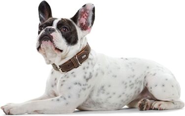 Нашийник для собак HUNTER PORTO, шкіряний, олив'яне дублення, м'який, зносостійкий, ручної роботи, колір: коричневий (cognac)