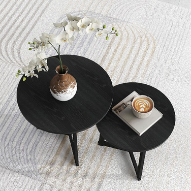 HOMCOM 2-Piece End Table Set, Round Side Table, Coffee Table with Steel Frame, Sofa Table with Modern Design, for Living Room, Holds up to 35 kg, Black | Aosom