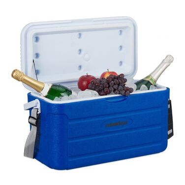 Relaxdays 20 l Cooler Box with Carrying Handle