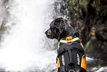 Жилет для собак Julius-K9 IDC 3в1, чорний та неоновий (XL)