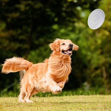 SLSON Складані годівниці для собак, 2 шт., годівниця з кришкою та карабінами, для вигулу, подорожей та повсякденного використання (L, haze purple cool gray)