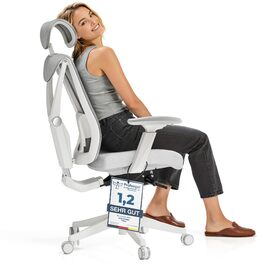 Офісний стіл Desktronic з регулюванням висоти та підтримкою попереку | Комп'ютерний стілець з широким м'яким сидінням (Сірий)