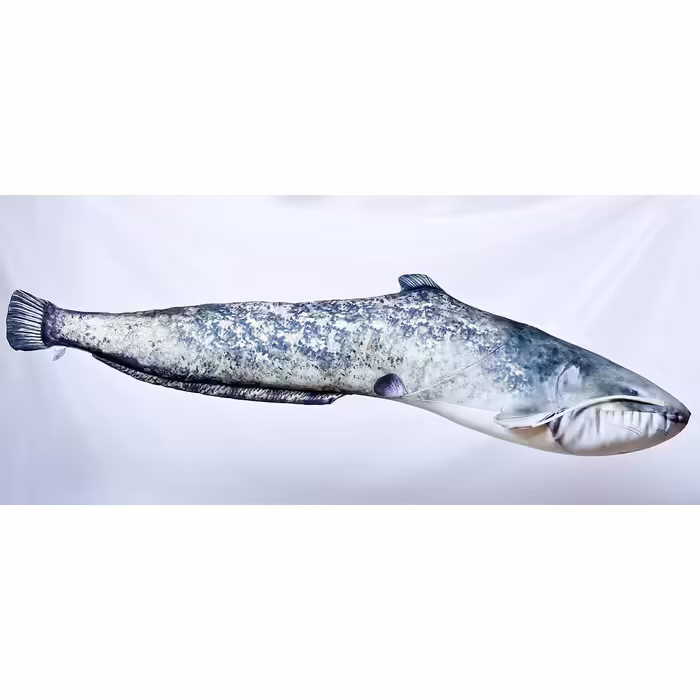 Decorative pillow in the shape of a real fish, catfish