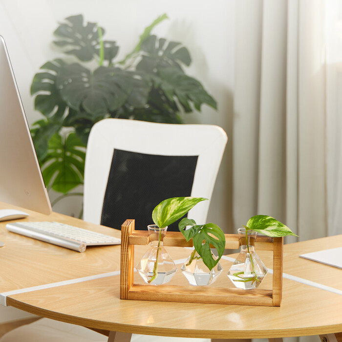 Relaxdays Reagent Tube Vase with Stand