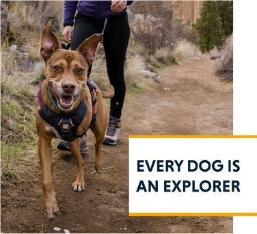 Шлейка для собак Ruffwear Web Master, помаранчевий, середній, з ручкою, надійна, для прогулянок та походів