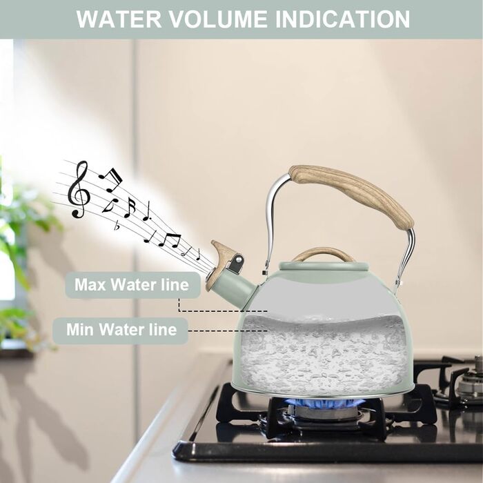 Чайник-заварник Flintronic з нержавіючої сталі, 3л, з дерев'яною ручкою, для всіх плит, чайник-заварник для чаю та кави (зелений)