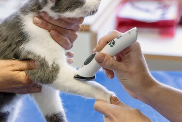 Акумуляторна машинка для стрижки Kerbl GT421 Aesculap Isis