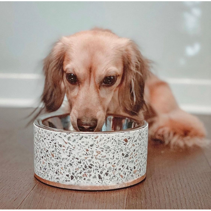 Миска для корму Pet Junkie Terrazzo з нержавіючої сталі для собак та котів, піднята, біла, маленька