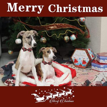 Нашийник для собак та котів з бантиком, міцний, регульований, для дівчаток та хлопчиків (L, Зелений, Червоний)