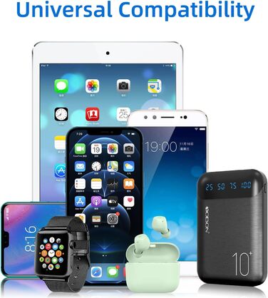 Портативний зарядний пристрій Power Bank 10000mAh з 2 USB виходами та USB-C входом (Чорний)