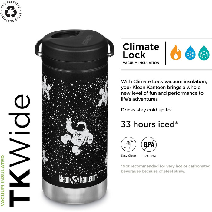 Klean Kanteen TKWide 340 g (with twist cap) – (Gray)
