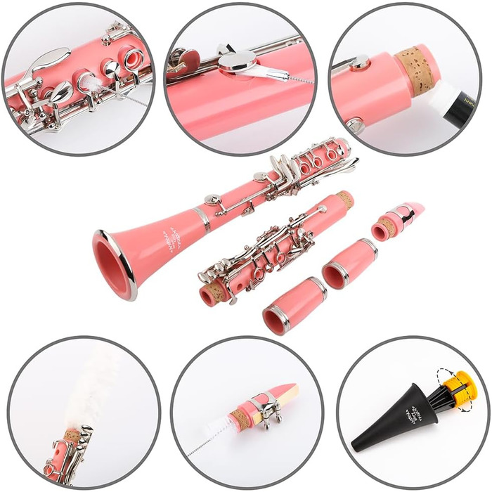 Професійна кларнет Glory GLY-CLAGN з ебоніту, Bb, з аксесуарами (10 вставок, стійка, кейс, серветка, щітки), зелений (рожево-сріблястий)