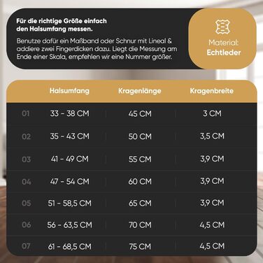 Нашийник для собак MICHUR Diego Schwarz з натуральної шкіри, з мідними заклепками, з мідним декором у вигляді лева, розмір 56-63,5 см