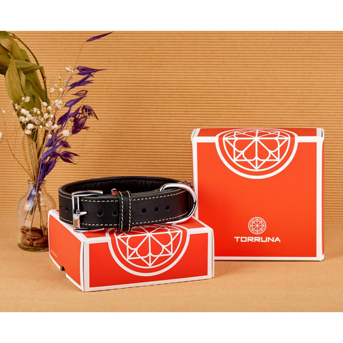 Нашийник для собак з м'якої шкіри, міцний та довговічний. Підходить для собак маленьких, середніх та великих порід. Матеріал: шкіра. Розміри: S (28-36 см), M (33-42 см). Колір: чорний