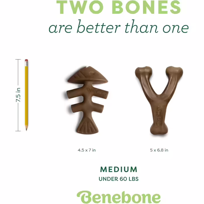 Benebone набір іграшок для собак-гризунів, для агресивних маленьких собак, міцні кістки та палички з ароматом, подарункова коробка, Fishbone/Wishbone, Medium, зроблено в США