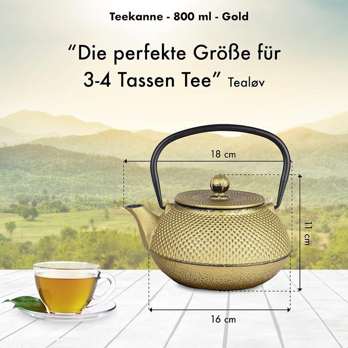 Чайник заварний чавунний TEEKANNE у японському стилі (800 мл) з нержавіючою сталею, преміум-якість