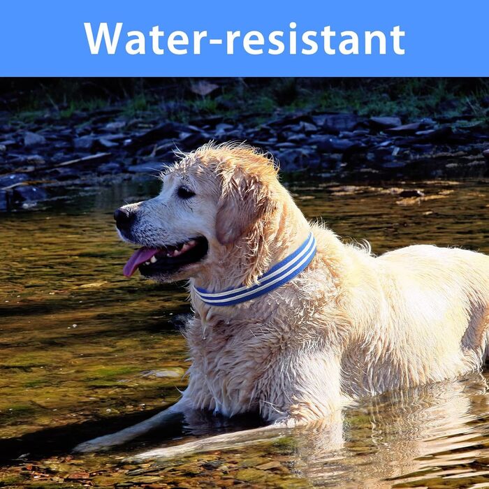 Світлодіодний нашийник для собак Leuchthalsband, перезаряджається, 3 режими світіння, водонепроникний, для маленьких, середніх та великих собак, зелений/синій (TC5000)