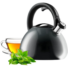 Чайник KADAX з нержавіючої сталі, 3л, з свистком, ретро дизайн, різні кольори, ефект Ombre, (Блакитний/Сірий)