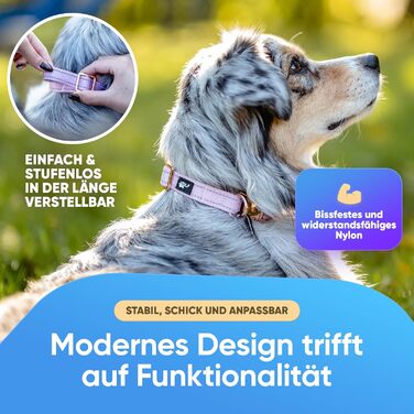 Водонепроникний нашийник для собак Leuchthal — регульований, 40-65 см, світловідбиваючий замок, флуоресцентна нитка
