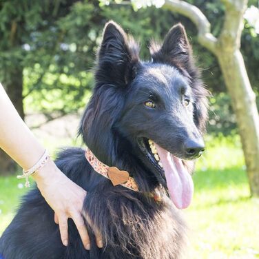 Нашийник для собак Pettsie з серцем та браслетом дружби, регульовані розміри S та M, комфортний дизайнерський льон, міцний та довговічний, чудовий подарунок для любителів собак (35,6 - 50,8 см (M), Червоний)