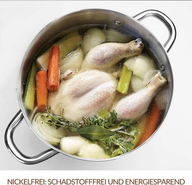 HOMICHEF Soup Pot 24.5 cm 9.5 Liter with Glass Lid - Nickel-Free Stainless Steel Pot 9.5 Liter with Handle - High-Gloss Polished Soup Pot 9.5 Liter - Healthy Induction Pot Cooking Pot with Lid Silver Glossy - Stainless Steel High-Gloss Polished (7.6 Liter - 24.5 cm wide, Silver Glossy - Stainless Steel High-Gloss Polished)