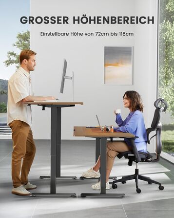 ErGear Electric Standing Desk 100x60cm - Walnut Finish, 4-Memory Smart Desk for Home Office with Mounting Plate