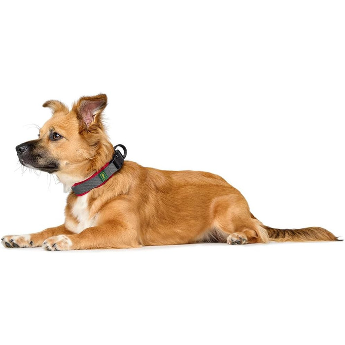 Нашийник для собак HUNTER Maldon, червоний, розмір M: дихаюча сітка, міцний нейлон, безшумний, гіпоалергенний, з поглиначем ривків, адресником, легкий