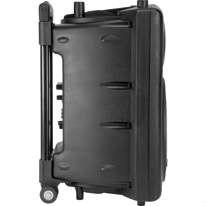 Портативна акустика Ibiza PORT12VHF-BT 12