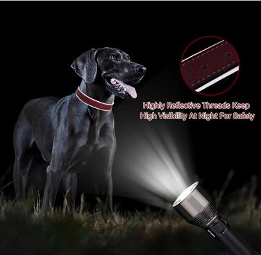 Відбиваючий поводок для собак, регульований, м'який, для малих, середніх та великих собак (довжина 46-56 см), червоний, S