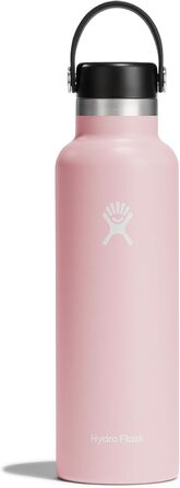 HYDRO FLASK - 621ml (21oz) Water Bottle with Lid - Vacuum Insulated, Reusable Stainless Steel Bottle - Leakproof Lid - Hot & Cold - Small Opening - (Flex Lid, Trillium, 30 ml)
