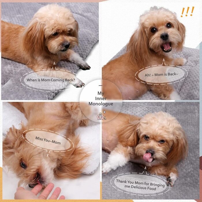 М'який килимок для собак та котів 60x80 см, білий з принтом кісток, машинне прання